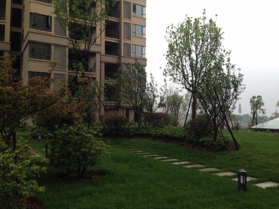 荊門(mén)洋豐嘉苑