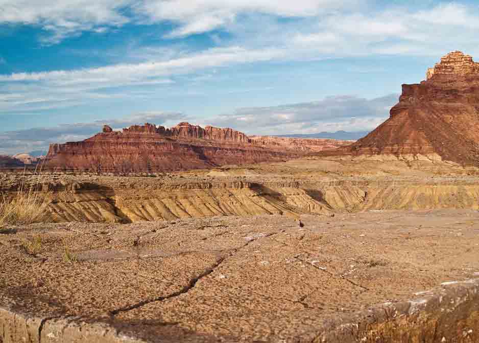 荒漠生態(tài)系統(tǒng)——荒漠生態(tài)系統(tǒng)的分布、基本特征