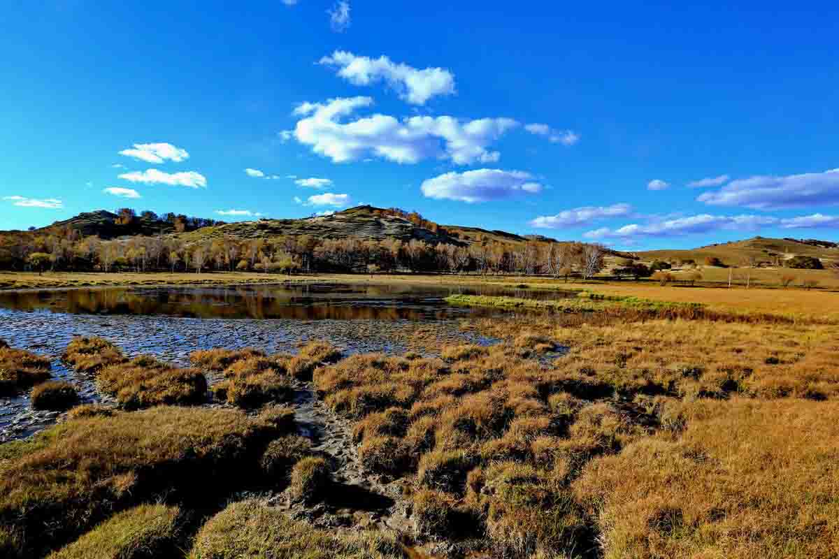 濕地生態(tài)系統(tǒng)——濕地生態(tài)系統(tǒng)的初級生產(chǎn)和物質循環(huán)