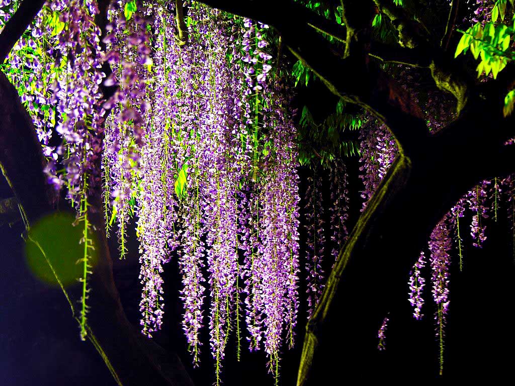 ca1349540923dd5451fd0998d109b3de9d8248b7.jpg ca1349540923dd5451fd0998d109b3de9d8248b7.jpg