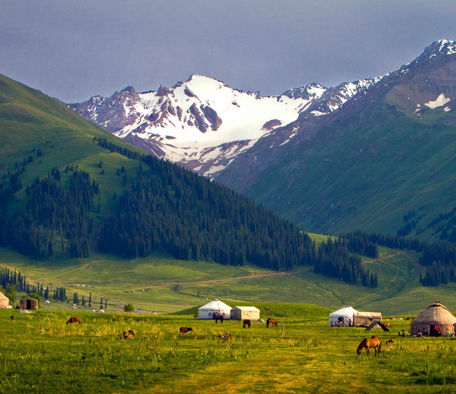 生態(tài)系統(tǒng)健康和管理——生態(tài)系統(tǒng)健康的管理原則、評估要點和指標