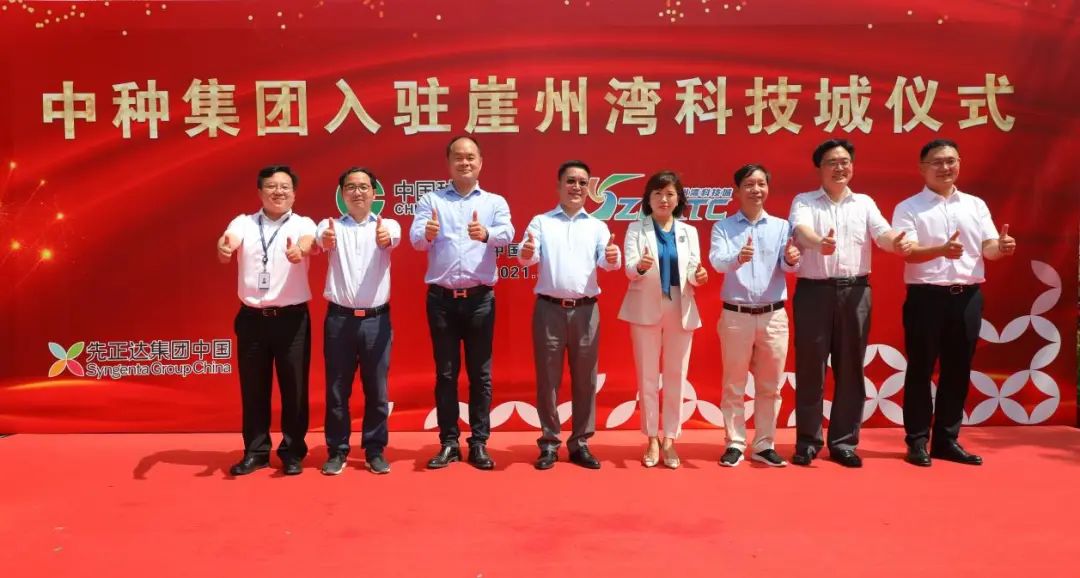 3333333.jpg 3333333.jpg